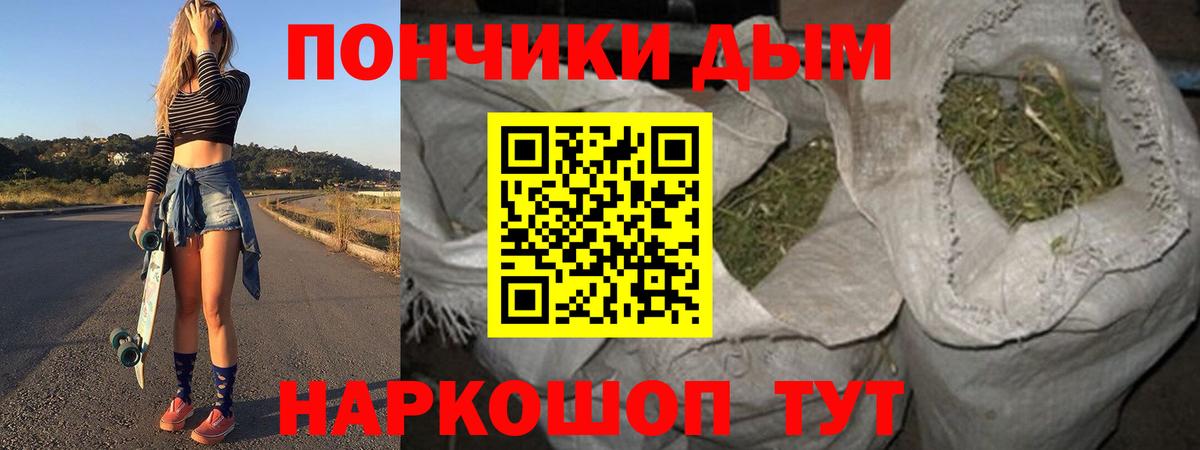 Марихуана сатива Михайловск